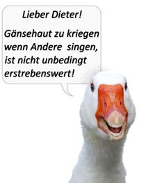 Gänsehaut.jpg