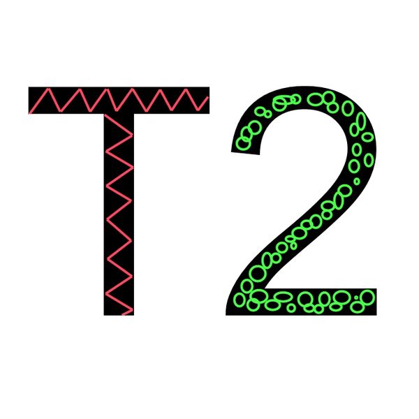Datei:T2 gemustert.jpg
