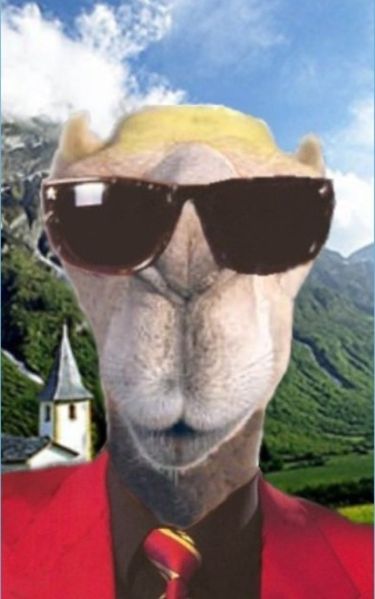 Datei:HeiNo.jpg