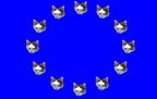 12-Euro-Katze.jpg