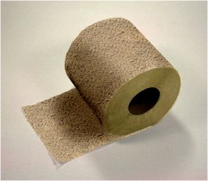 Toiletpaper Sand.jpg