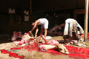 800px-Camel slaughter.jpg