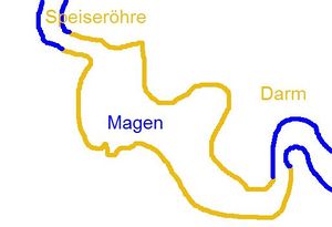 MAgen.JPG