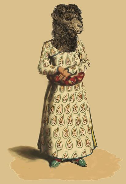 Datei:Rudi fallafel.jpg