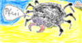 Pfui-Spinne.png