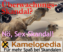 Sexskandal.jpg