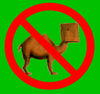 No-Camel-Icon.jpg