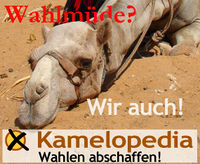 Wahlmüde.jpg