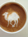 Latte-Kamel.jpg