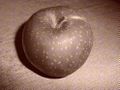 Apfelkorn.jpg