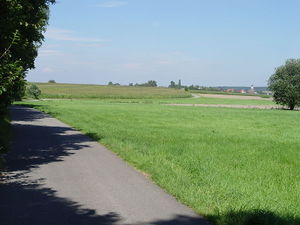 800px-Heideggers Feldweg.jpg