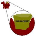 Vorschaubild der Version vom 30. Januar 2007, 22:17 Uhr