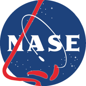 Logo NASE.png
