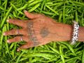Jaipuri tribal hand tattoo.jpg