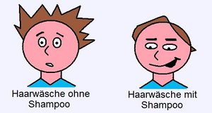 Shampoo-Haarwaesche.jpg