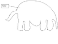 Elefant(schema).png