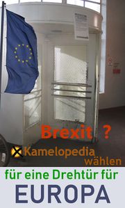 EUROPA Wahl 19.jpg