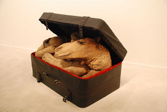 Kamel im Koffer.jpg