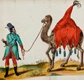 Tatar mit Kamel.jpg