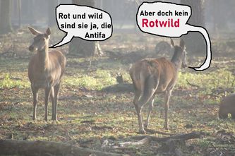 Kein Rotwild.jpg