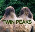 Twinpeaks.jpg