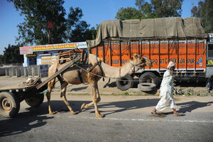 Camel wagon.jpg