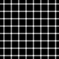 320px-Grid illusion.svg