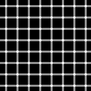 320px-Grid illusion.svg