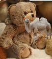 Teddy mit Kamelchen.jpg