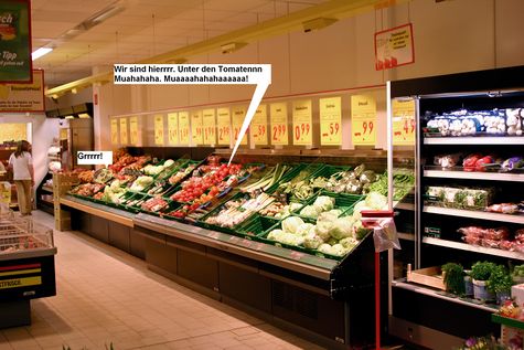 Steckrübensupermarkt.jpg