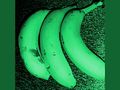 Banane-grün.jpg