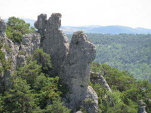 Formation "Chameau".jpg