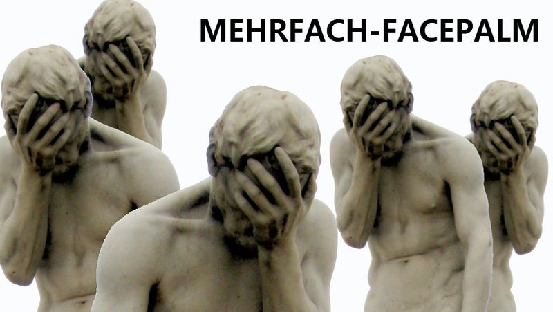 Datei:N-Facepalm.jpg