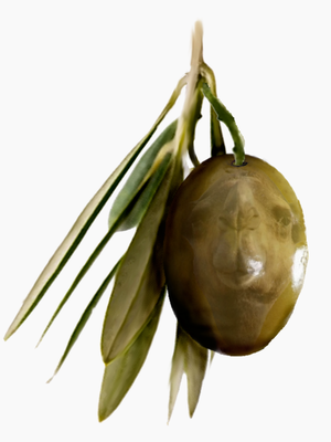 Palm Olive.png