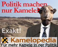 Kamelpolitiker.jpg