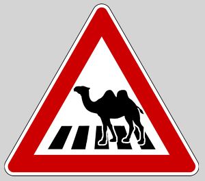 CamelXing.jpg