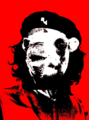 Che-Dromedara.png