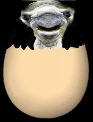 Eiergeburt.jpg