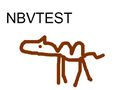 NBVTEST1.jpg