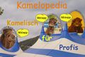 Kamelopedia - Kamelisch für Profis.jpg
