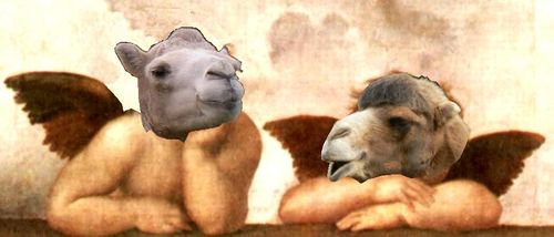 Raffaels Camels.jpg