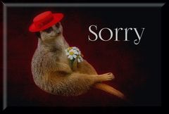 Sorry seems to be the hardest word.jpg