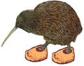 Kiwi2.jpg