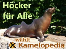 Höcker für Alle (klein).jpg